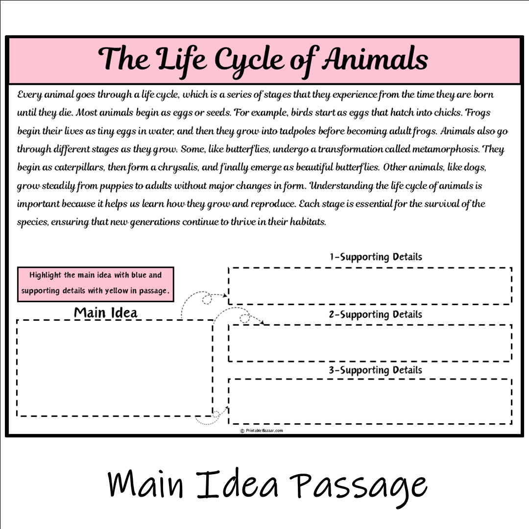 The Life Cycle of Animals | Main Idea and Supporting Details Reading Passage and Questions