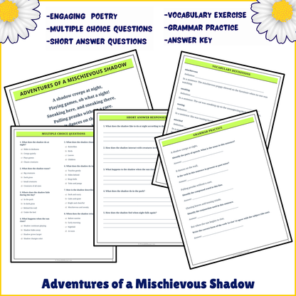 Adventures of a Mischievous Shadow | Poem Grammar Worksheet Printable Activity