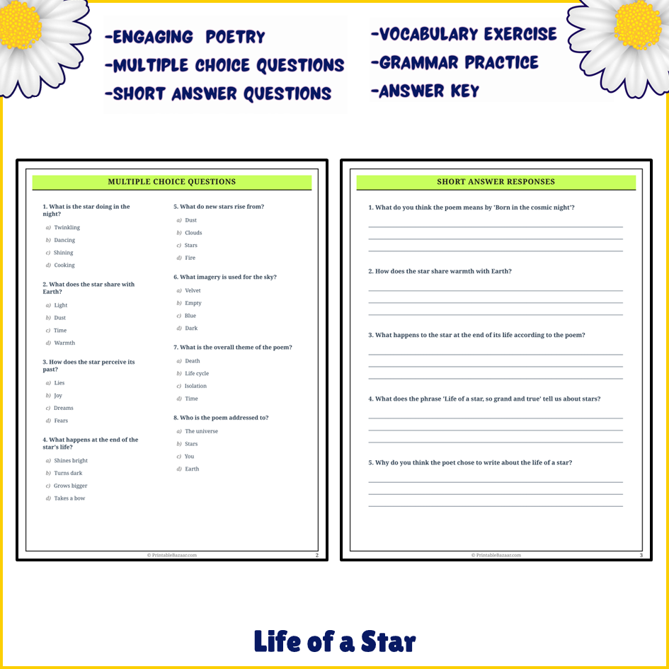 Life of a Star | Poem Grammar Worksheet Printable Activity
