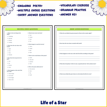 Life of a Star | Poem Grammar Worksheet Printable Activity