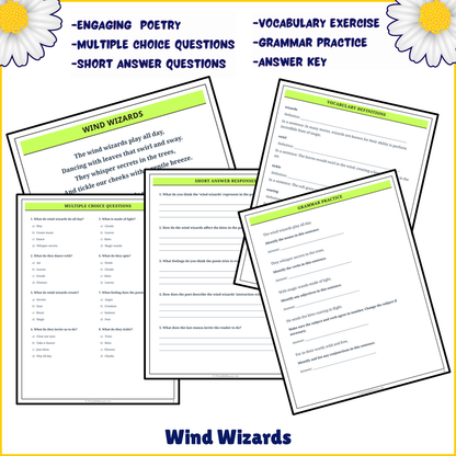 Wind Wizards | Poem Grammar Worksheet Printable Activity