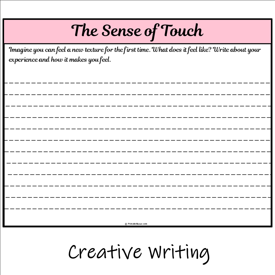 The Sense of Touch | Main Idea and Supporting Details Reading Passage and Questions