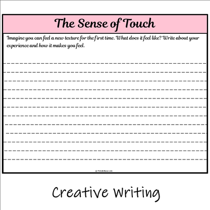 The Sense of Touch | Main Idea and Supporting Details Reading Passage and Questions