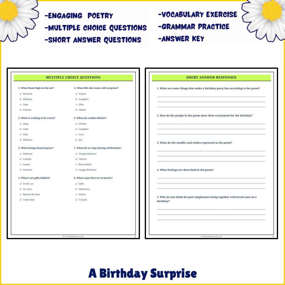 A Birthday Surprise | Poem Grammar Worksheet Printable Activity