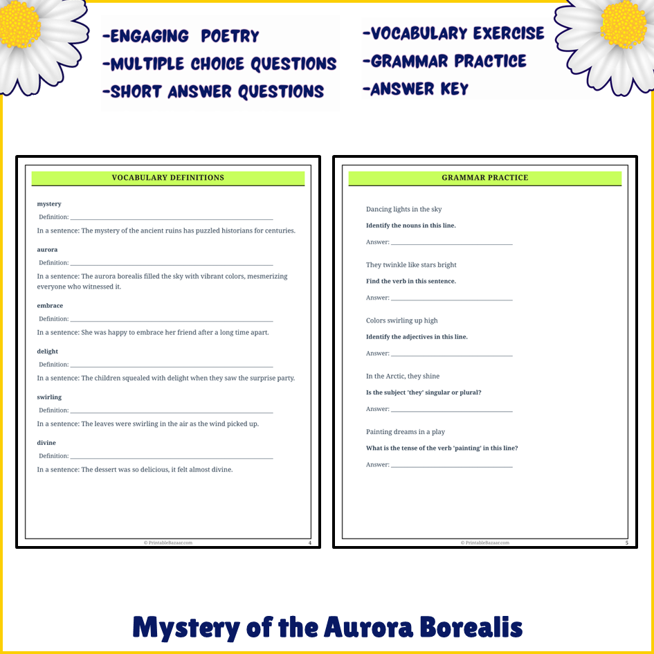 Mystery of the Aurora Borealis | Poem Grammar Worksheet Printable Activity