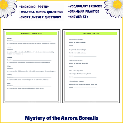 Mystery of the Aurora Borealis | Poem Grammar Worksheet Printable Activity