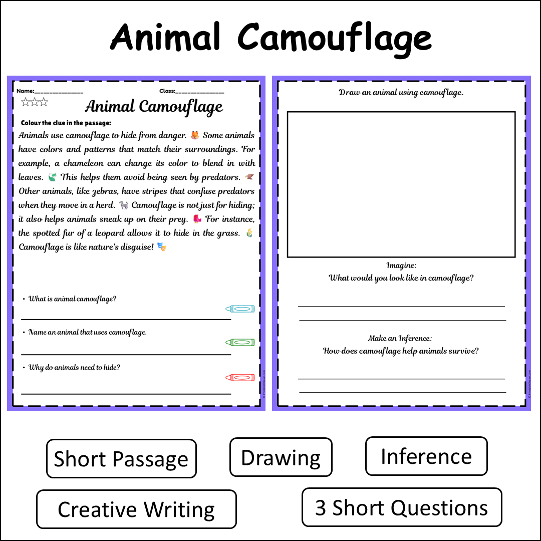 Animal Camouflage | Short Reading Comprehension Creative Worksheet