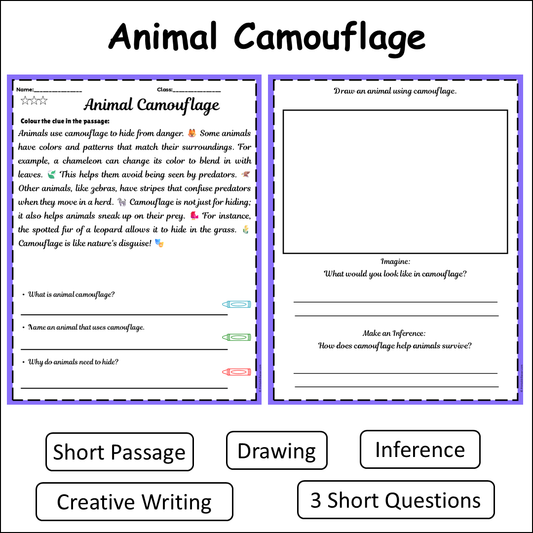 Animal Camouflage | Short Reading Comprehension Creative Worksheet