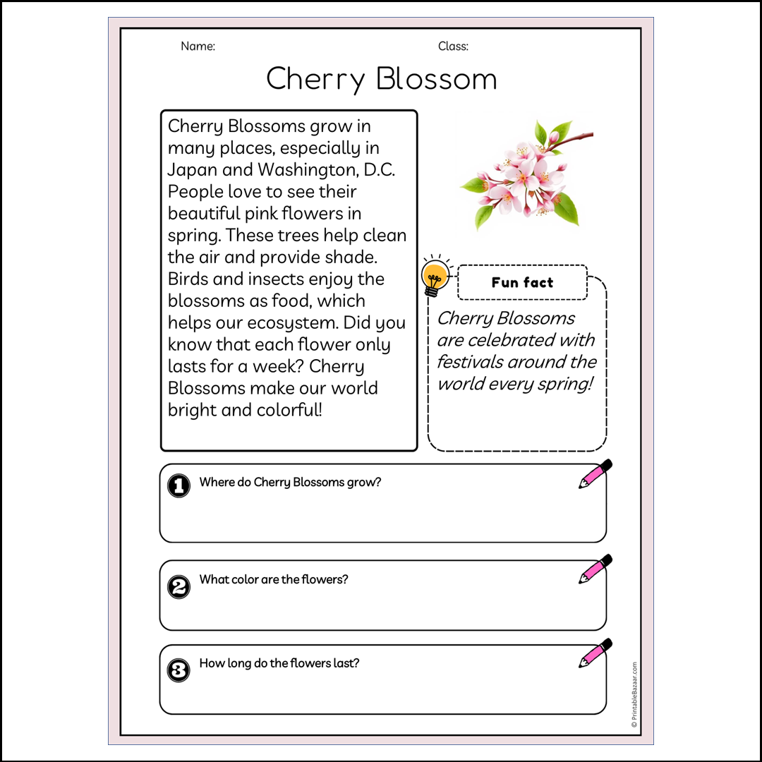 Cherry Blossom | Reading Passage Comprehension Questions Writing Facts Worksheet