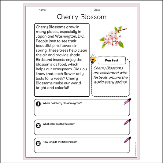 Cherry Blossom | Reading Passage Comprehension Questions Writing Facts Worksheet