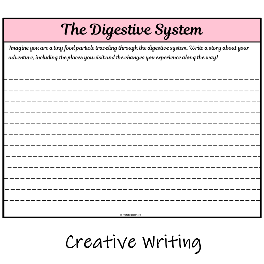 The Digestive System | Main Idea and Supporting Details Reading Passage and Questions