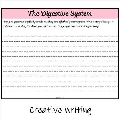 The Digestive System | Main Idea and Supporting Details Reading Passage and Questions