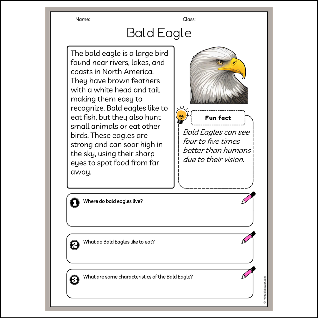 Bald Eagle | Reading Passage Comprehension Questions Writing Facts Worksheet