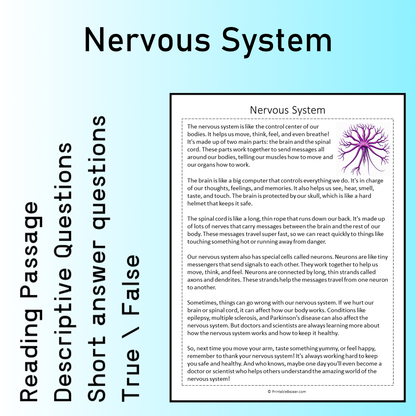 Nervous System | Reading Comprehension Passage Printable Worksheet