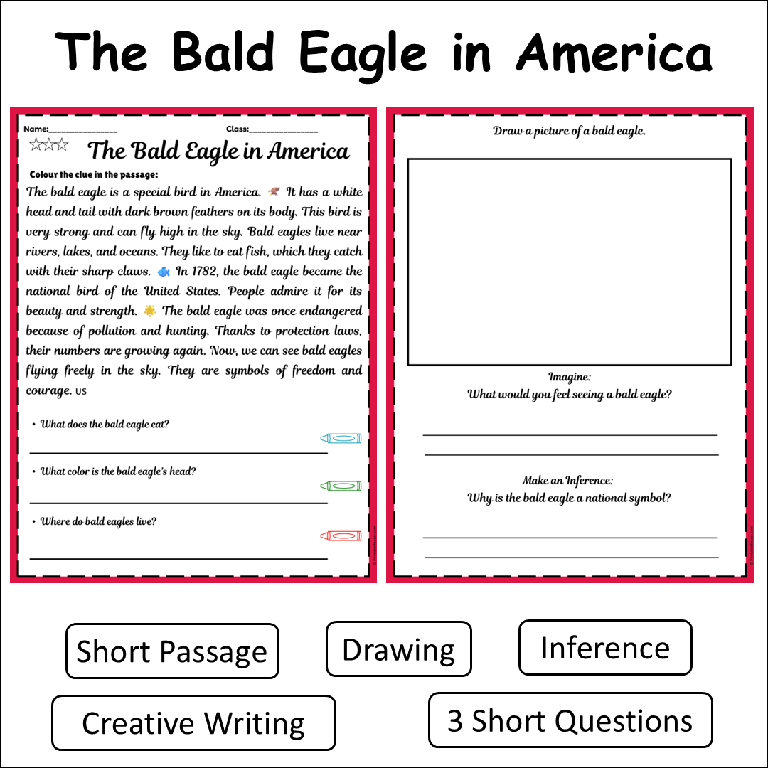 The Bald Eagle in America | Short Reading Comprehension Creative Worksheet