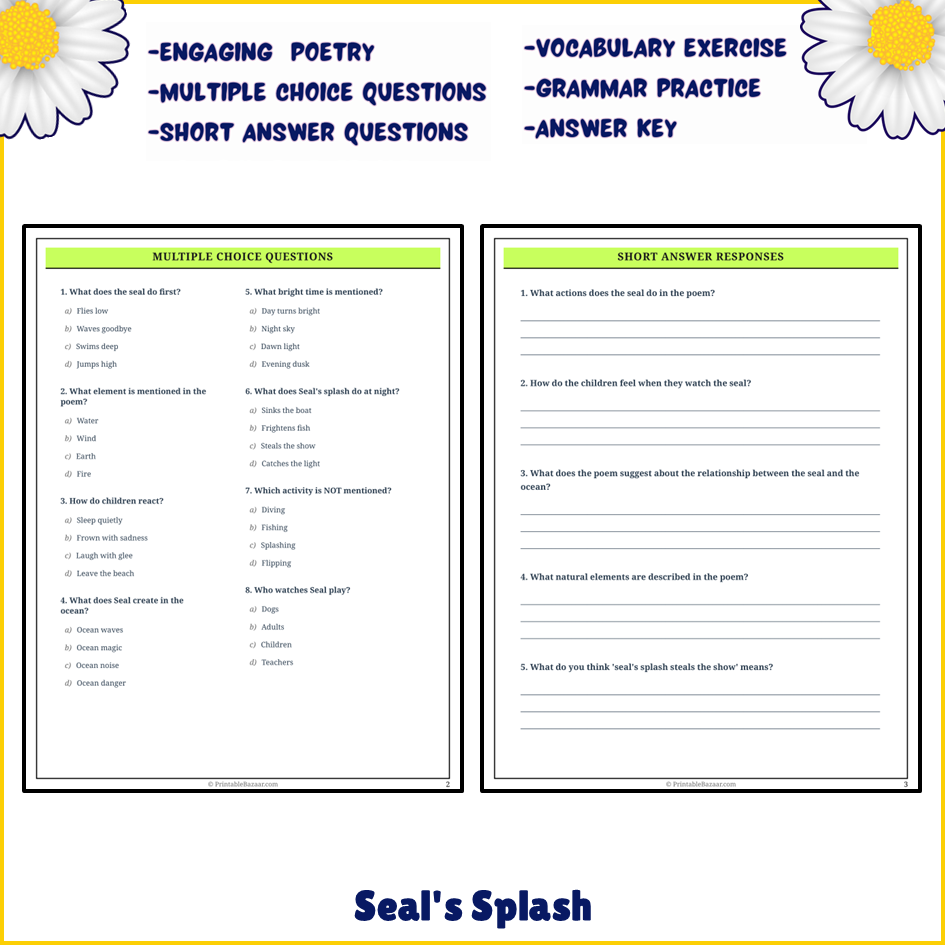 Seal's Splash | Poem Grammar Worksheet Printable Activity