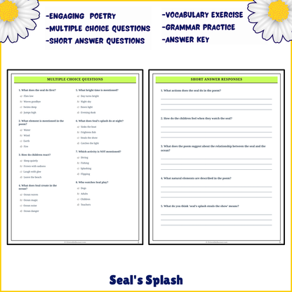 Seal's Splash | Poem Grammar Worksheet Printable Activity