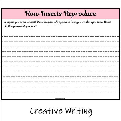 How Insects Reproduce | Main Idea and Supporting Details Reading Passage and Questions