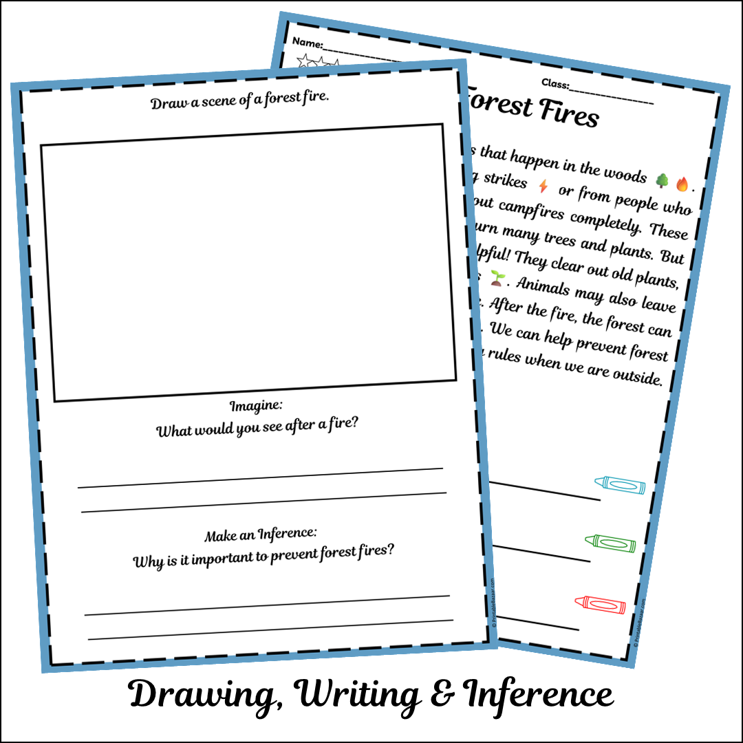 Forest Fires | Short Reading Comprehension Creative Worksheet