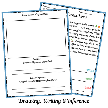 Forest Fires | Short Reading Comprehension Creative Worksheet