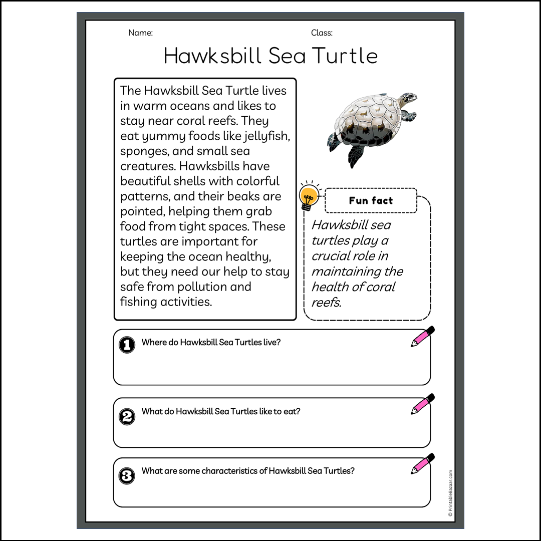 Hawksbill Sea Turtle | Reading Passage Comprehension Questions Writing Facts Worksheet