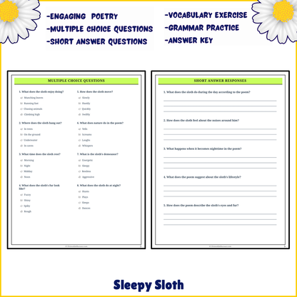 Sleepy Sloth | Poem Grammar Worksheet Printable Activity