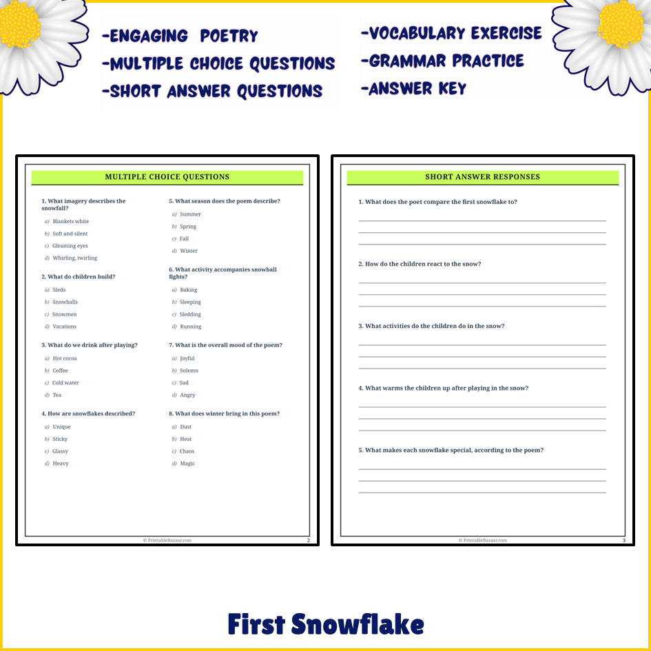 First Snowflake | Poem Grammar Worksheet Printable Activity