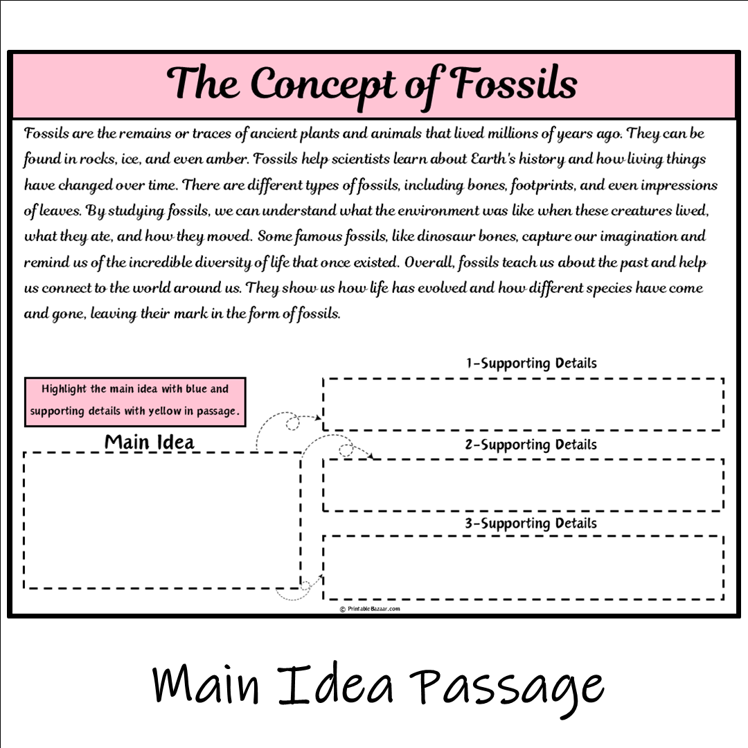 The Concept of Fossils | Main Idea and Supporting Details Reading Passage and Questions