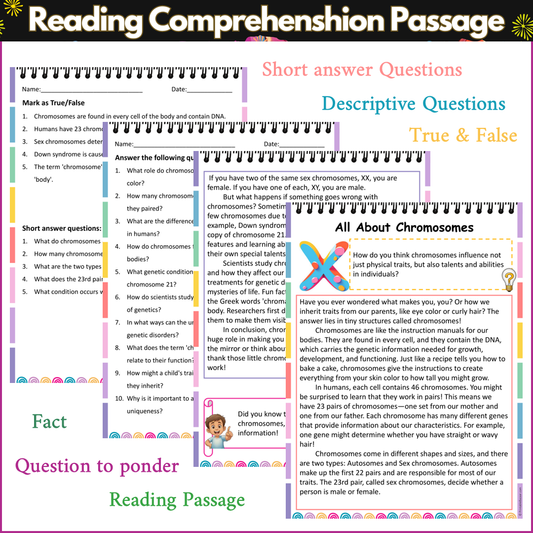 All About Chromosomes | Reading Comprehension Passage and Questions