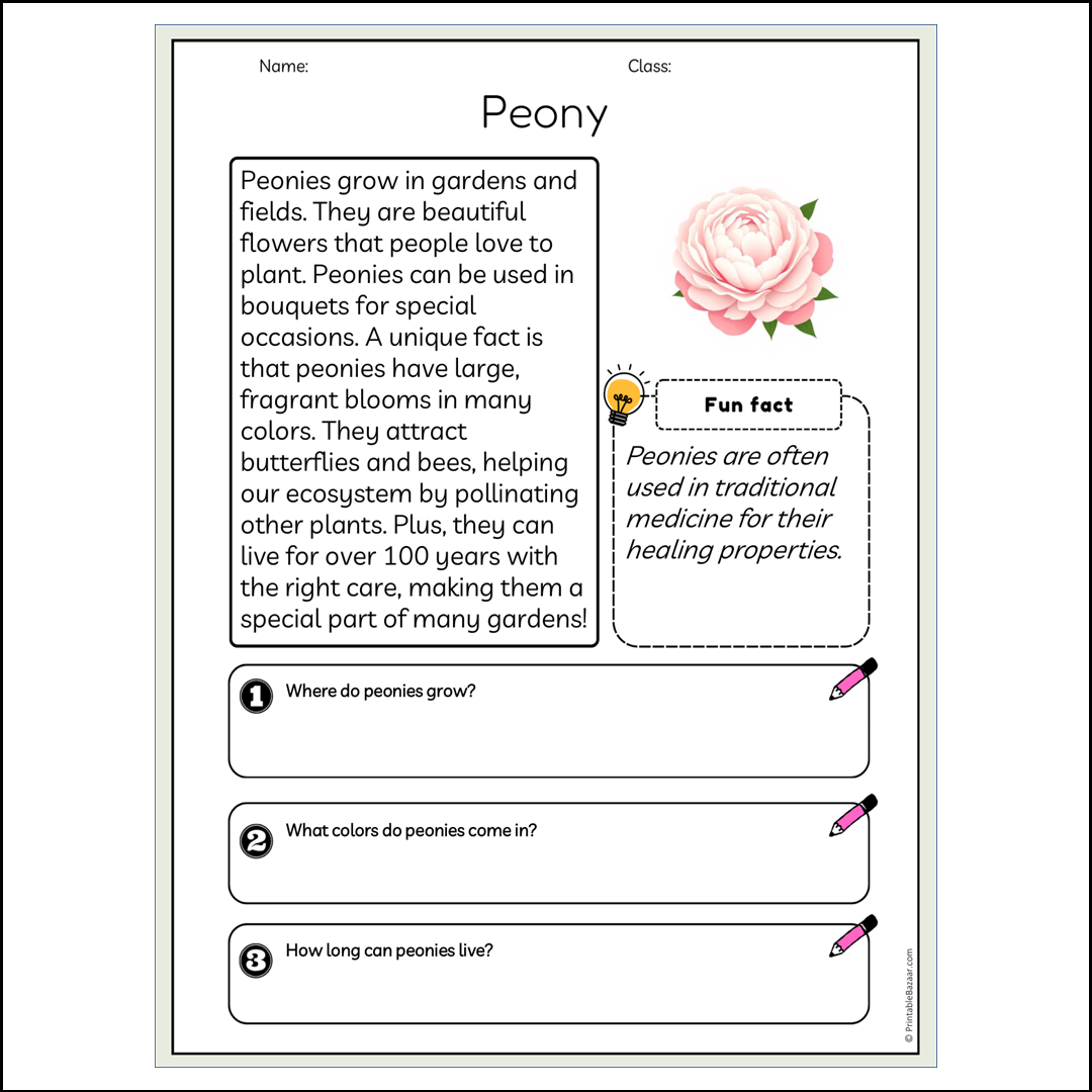 Peony | Reading Passage Comprehension Questions Writing Facts Worksheet