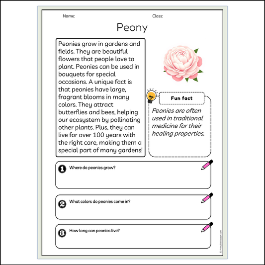 Peony | Reading Passage Comprehension Questions Writing Facts Worksheet