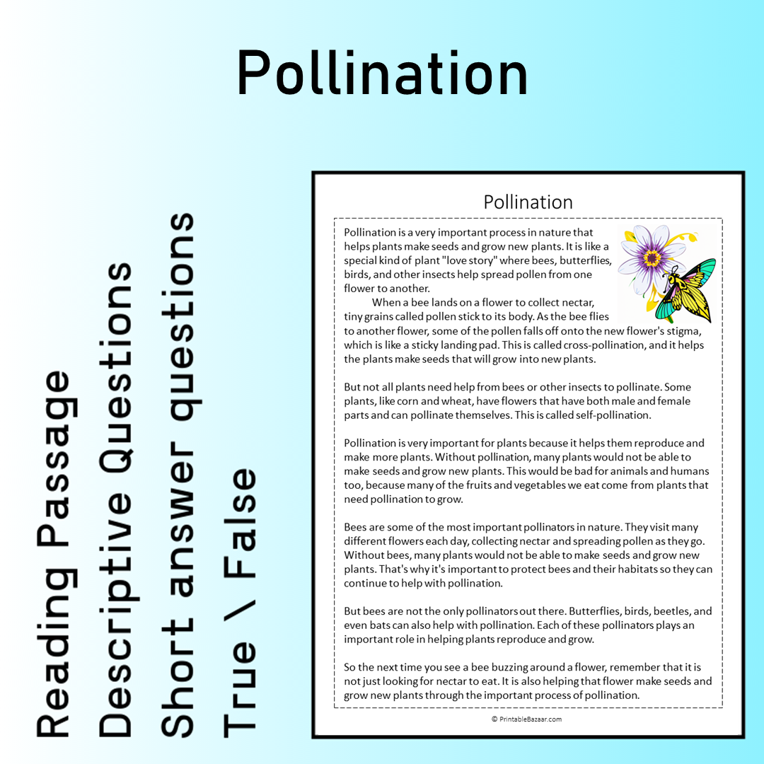 Pollination | Reading Comprehension Passage Printable Worksheet