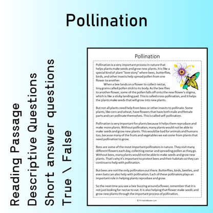 Pollination | Reading Comprehension Passage Printable Worksheet