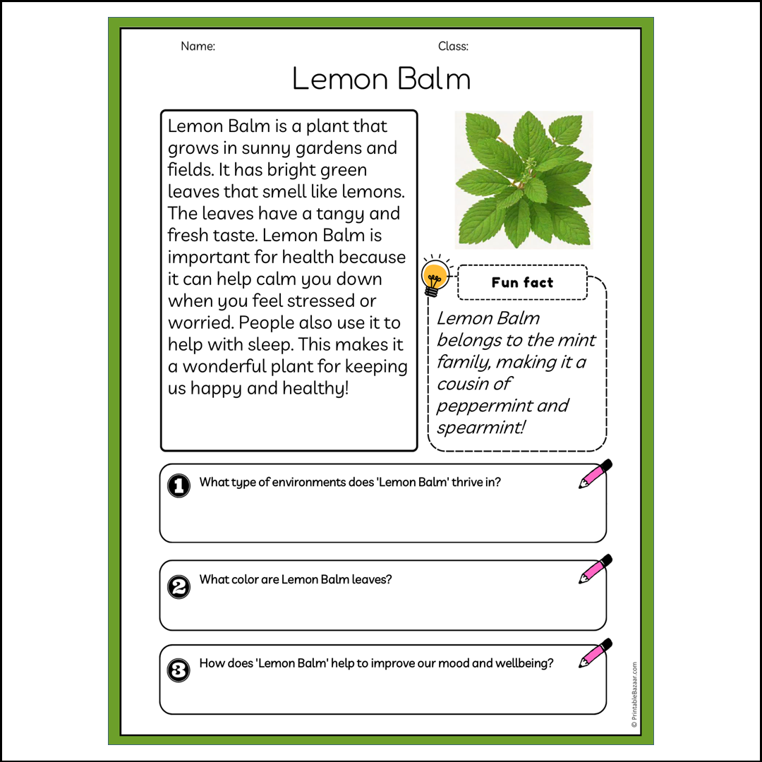 Lemon Balm | Reading Passage Comprehension Questions Writing Facts Worksheet