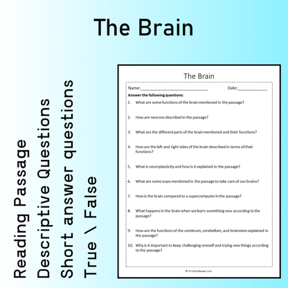 The Brain | Reading Comprehension Passage Printable Worksheet