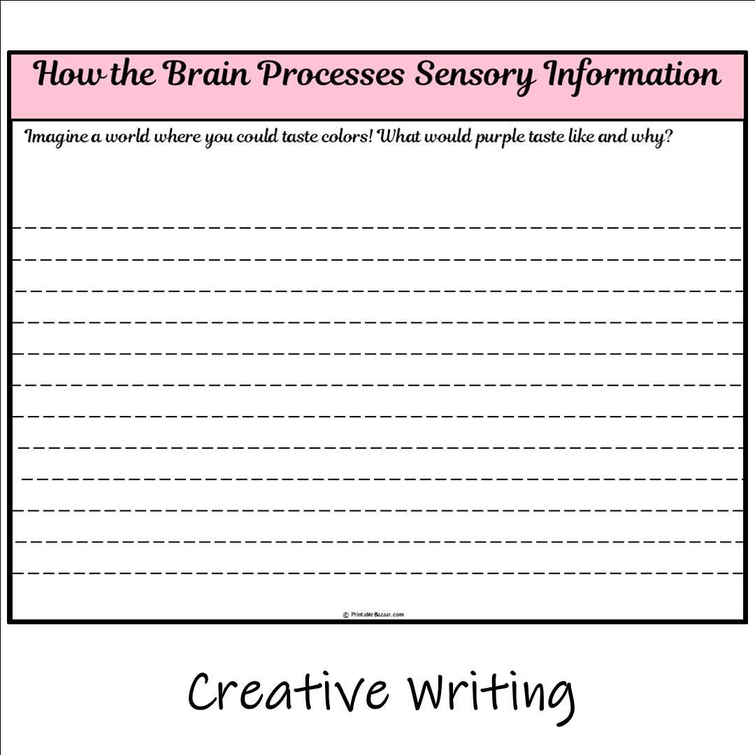 How the Brain Processes Sensory Information | Main Idea and Supporting Details Reading Passage and Questions