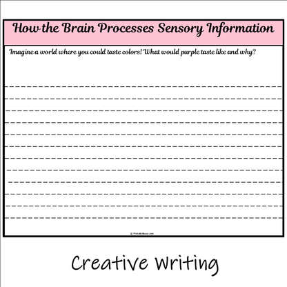 How the Brain Processes Sensory Information | Main Idea and Supporting Details Reading Passage and Questions