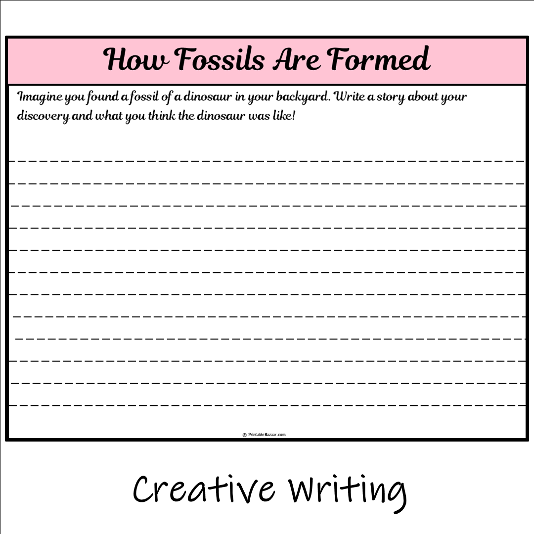 How Fossils Are Formed | Main Idea and Supporting Details Reading Passage and Questions