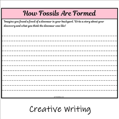 How Fossils Are Formed | Main Idea and Supporting Details Reading Passage and Questions