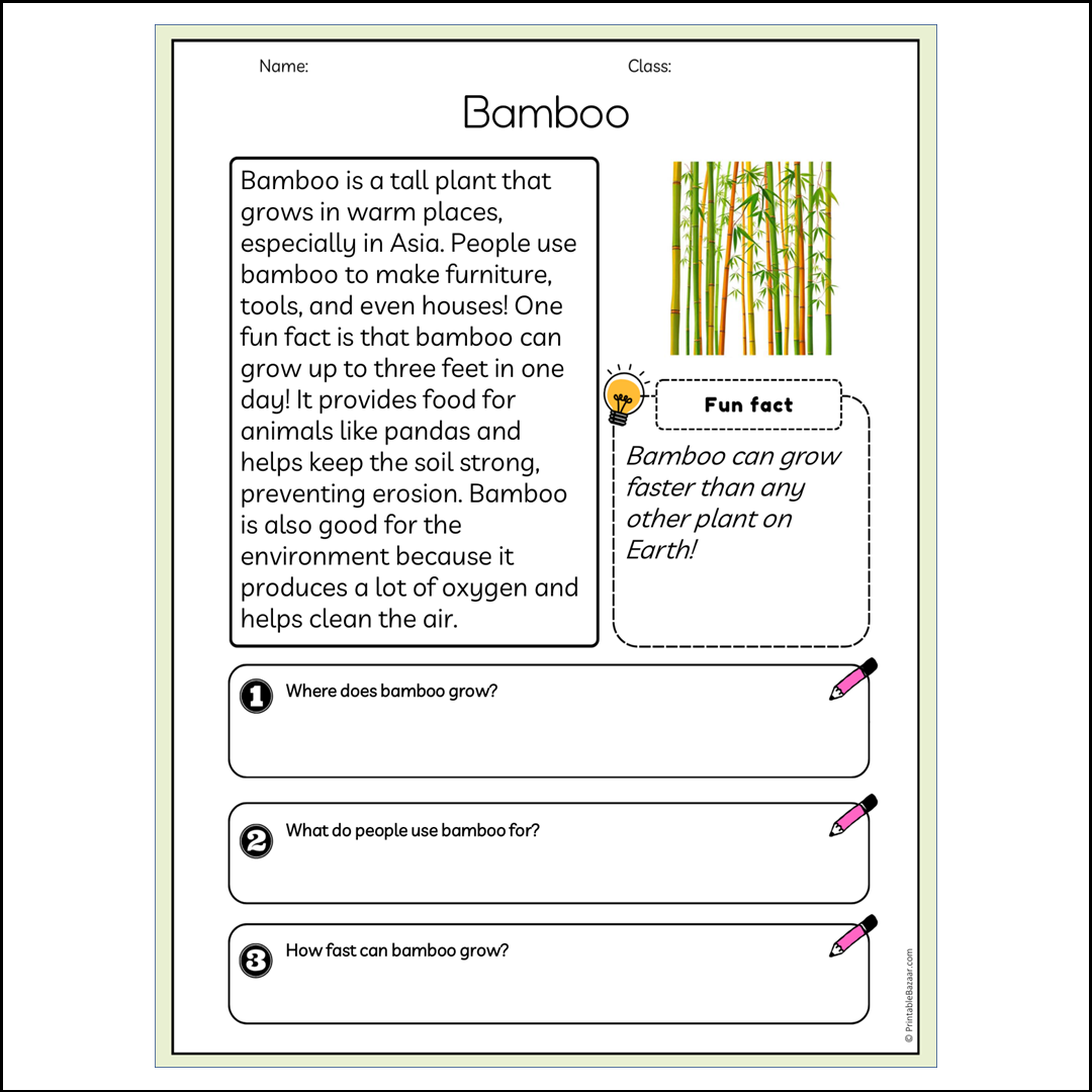 Bamboo | Reading Passage Comprehension Questions Writing Facts Worksheet