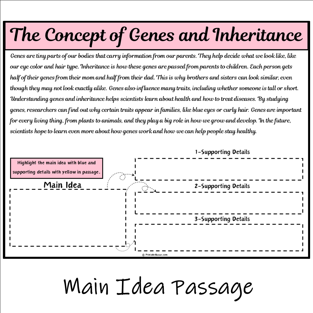 The Concept of Genes and Inheritance | Main Idea and Supporting Details Reading Passage and Questions