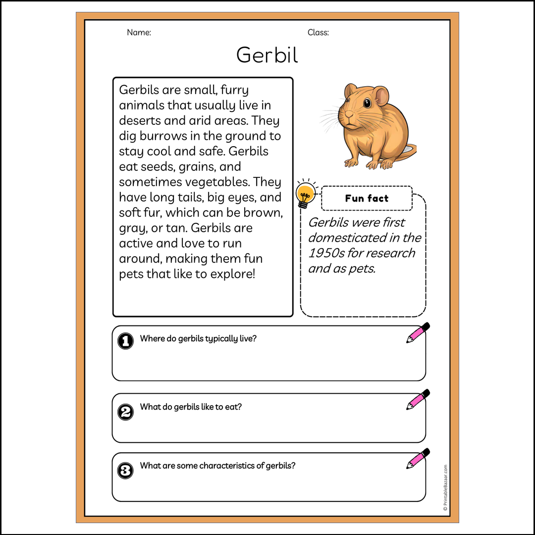 Gerbil | Reading Passage Comprehension Questions Writing Facts Worksheet