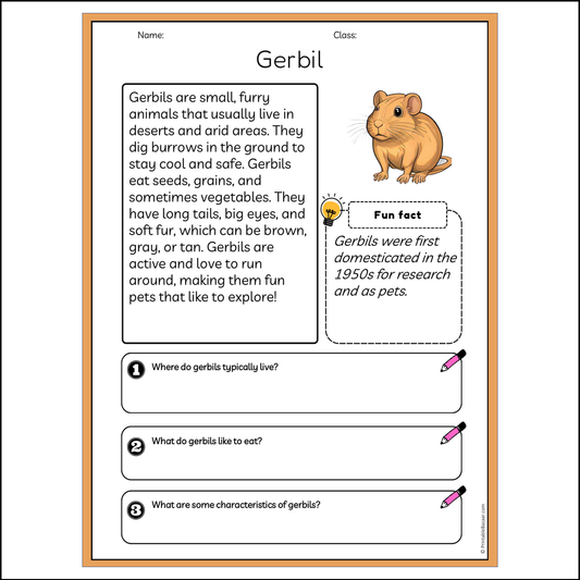 Gerbil | Reading Passage Comprehension Questions Writing Facts Worksheet