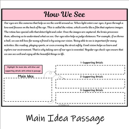 How We See | Main Idea and Supporting Details Reading Passage and Questions