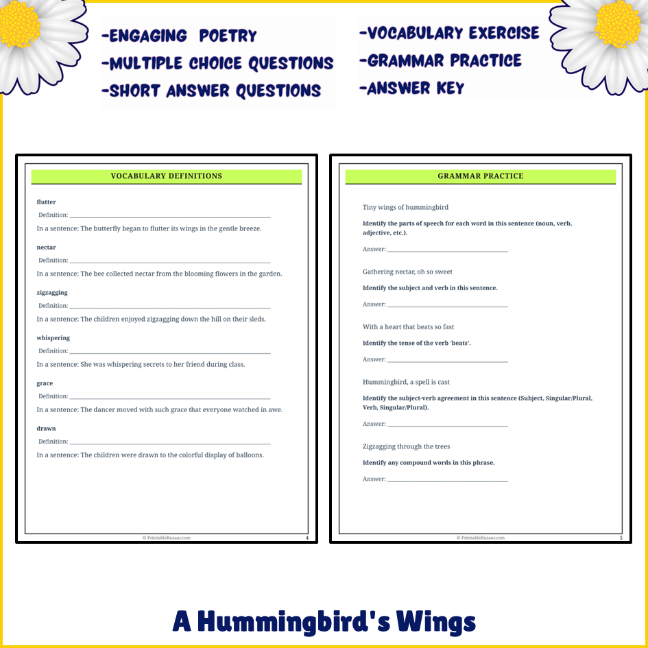 A Hummingbird's Wings | Poem Grammar Worksheet Printable Activity