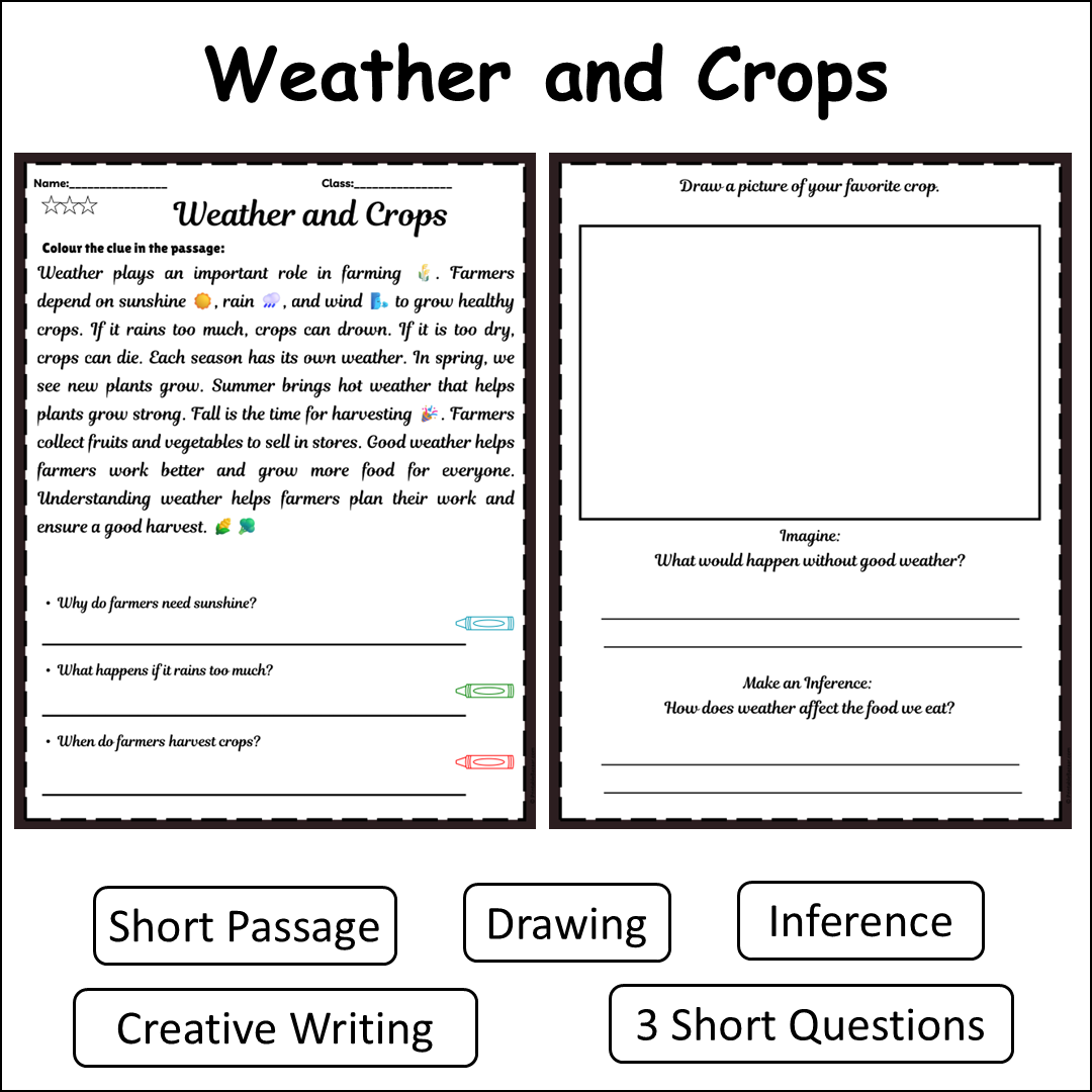 Weather and Crops | Short Reading Comprehension Creative Worksheet