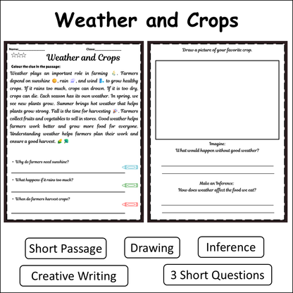 Weather and Crops | Short Reading Comprehension Creative Worksheet