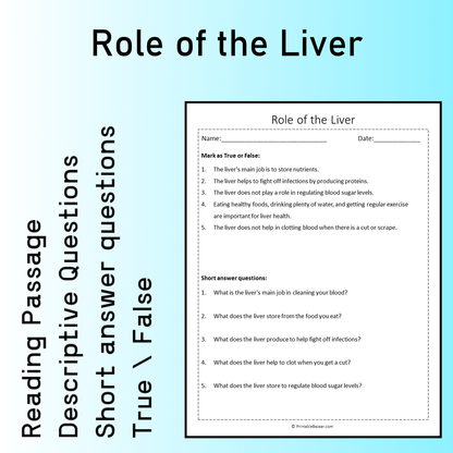 Role of the Liver | Reading Comprehension Passage Printable Worksheet