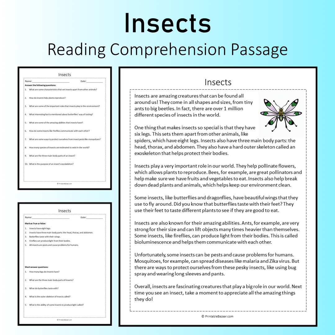 Insects | Reading Comprehension Passage Printable Worksheet