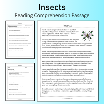 Insects | Reading Comprehension Passage Printable Worksheet